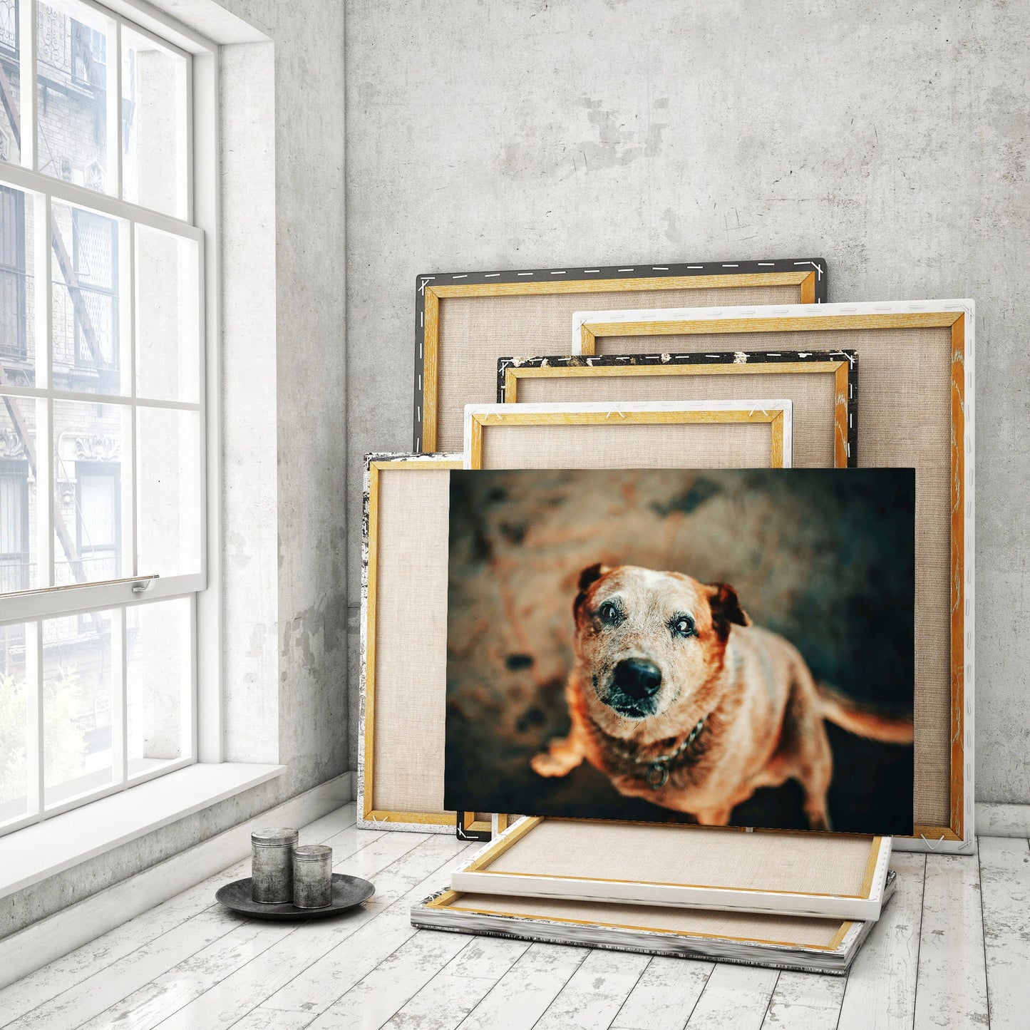 Canvas Print From Your Dog Photo